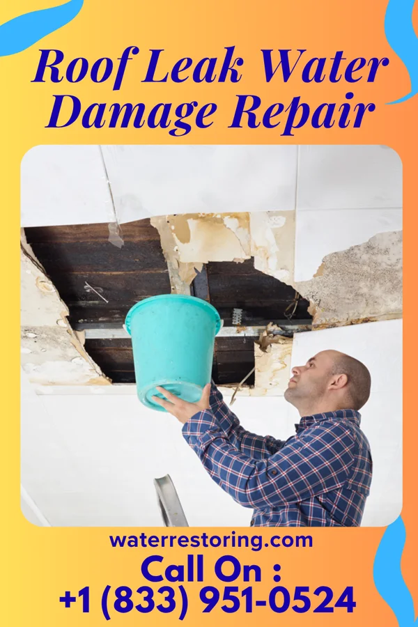 Roof Leak Water Damage Repair in Hammond, IN